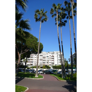 Photo France Cannes Port de Cannes 2008-05 21
