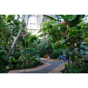 Photo France Nice Parc Phoenix 2007-10 105