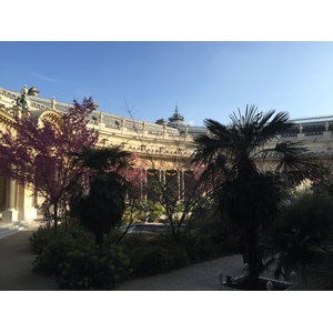 Photo France Paris Petit Palais 2016-03 14
