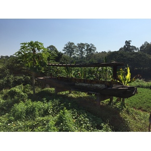 Photo Thaïlande Phitsanulok 2014-12 42