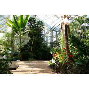 Photo France Nice Parc Phoenix 2007-10 106