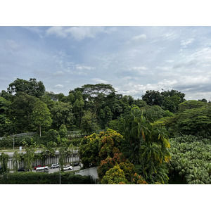 Photo Singapour 2023-01 72