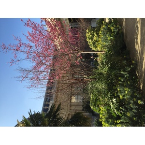 Photo France Paris Petit Palais 2016-03 26