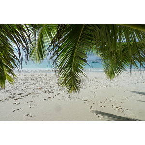 Photo Seychelles Anse Lazio 2011-10 124