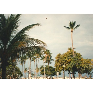 Photo États-Unis Miami 1991-11 31