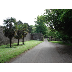 Photo Royaume-Uni Pembrokeshire Lamphey 2006-05 10