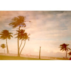 Photo États-Unis Miami 1991-11 6