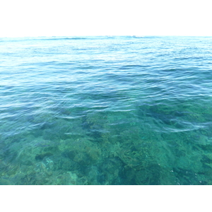 Photo Îles Fidji île Castaway(Seul au monde) 2010-05 171