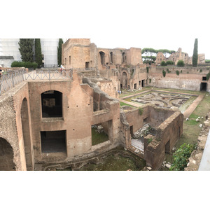 Photo Italie Rome Forum Romain 2024-09 88