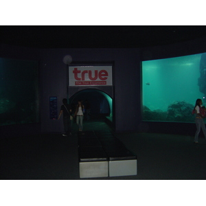 Photo Thaïlande Bangkok Siam Ocean World 2005-12 41