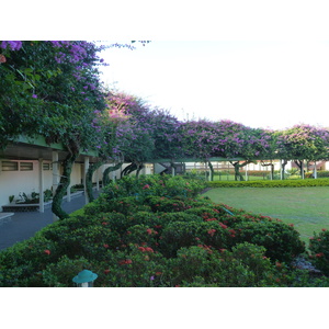 Photo Îles Fidji Hotel Raffles Nadi 2010-05 8