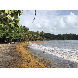 Photo Guadeloupe Plage de Viard 2021-02 1