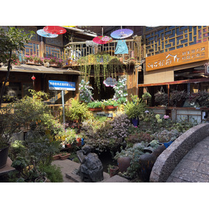 Photo Chine Lijiang 2026-01 496
