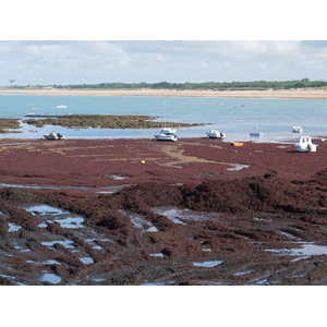 Photo France Saint Hilaire de Riez 2012-07 34