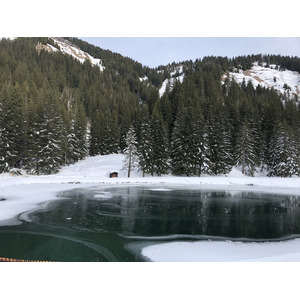 Photo France Praz sur Arly 2019-12 248