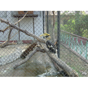 Photo Birmanie (Myanmar) Rangoun 2005-01 203