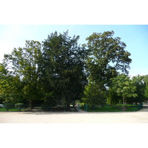 Photo France Paris Jardin des Plantes 2007-08 17