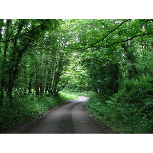 Photo Royaume-Uni Pembrokeshire 2006-05 7