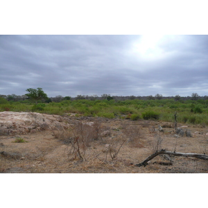 Photo Afrique du Sud Parc National Kruger Rivière Sable 2008-09 70