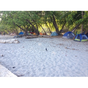 Photo Costa Rica Montezuma 2015-03 217