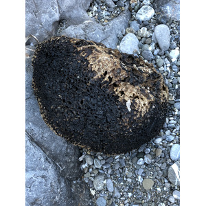 Photo Grèce Astypalea 2018-07 128