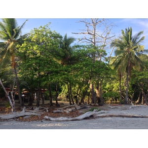 Photo Costa Rica Montezuma 2015-03 384