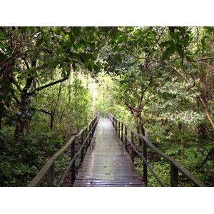 Photo Costa Rica Cahuita 2015-03 247