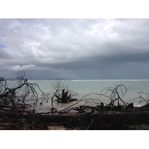 Photo Costa Rica Cahuita 2015-03 54