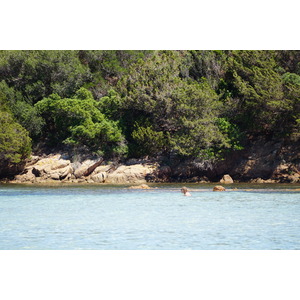 Photo France Corse Plage de Rondinara 2017-07 12