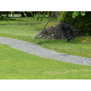 Photo Japon Kyoto Château Nijo 2010-06 27