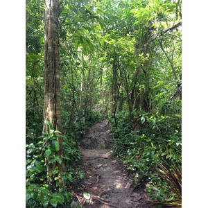 Photo Costa Rica Cahuita 2015-03 36
