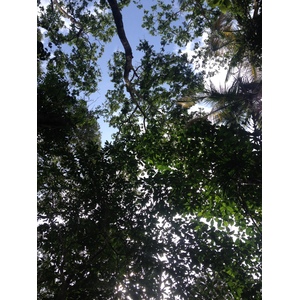 Photo Costa Rica Cahuita 2015-03 2
