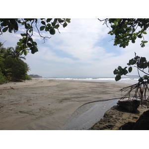 Photo Costa Rica Montezuma 2015-03 383
