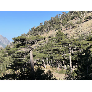 Photo France Corse Monte Cinto 2023-10 211