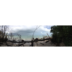 Photo Costa Rica Cahuita 2015-03 230