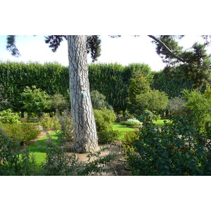 Photo France Paris Jardin des Plantes 2007-08 108