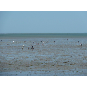 Photo France Noirmoutier 2010-07 32