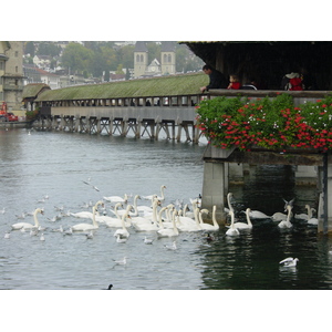 Photo Suisse Lucerne 2001-10 4