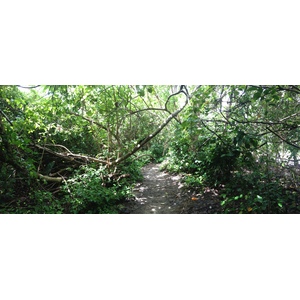 Photo Costa Rica Cahuita 2015-03 16