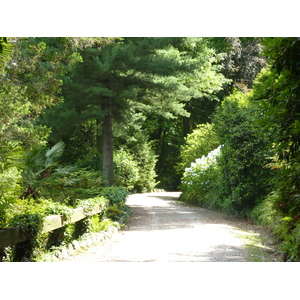Photo Italie Villa Pallavicino 2009-06 82