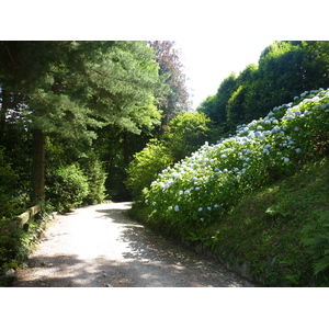 Photo Italie Villa Pallavicino 2009-06 89