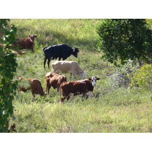 Photo Nouvelle-Calédonie route de Tontouta à Thio 2010-05 122