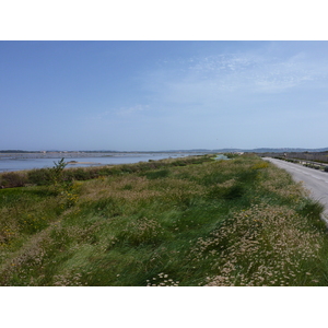 Photo France Presqu'île de Giens 2009-05 15