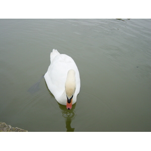 Photo Royaume-Uni Chateau de Leeds 2001-04 3