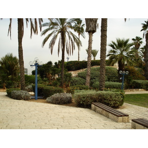 Photo Israel Jaffa 2006-12 156