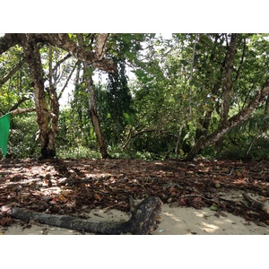 Photo Costa Rica Cahuita 2015-03 195