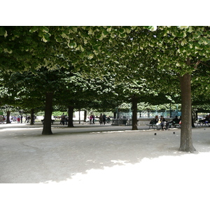 Photo France Paris Notre Dame 2007-05 85