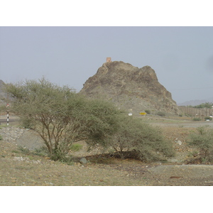 Photo Oman Route de Buraimi à Sohar 2005-03 15