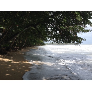 Photo Costa Rica Cahuita 2015-03 197