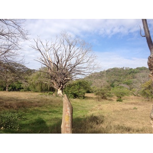 Photo Costa Rica Montezuma 2015-03 97